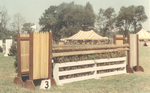 Jumping Fence 3