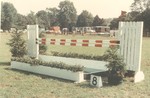 Jumping Fence 8